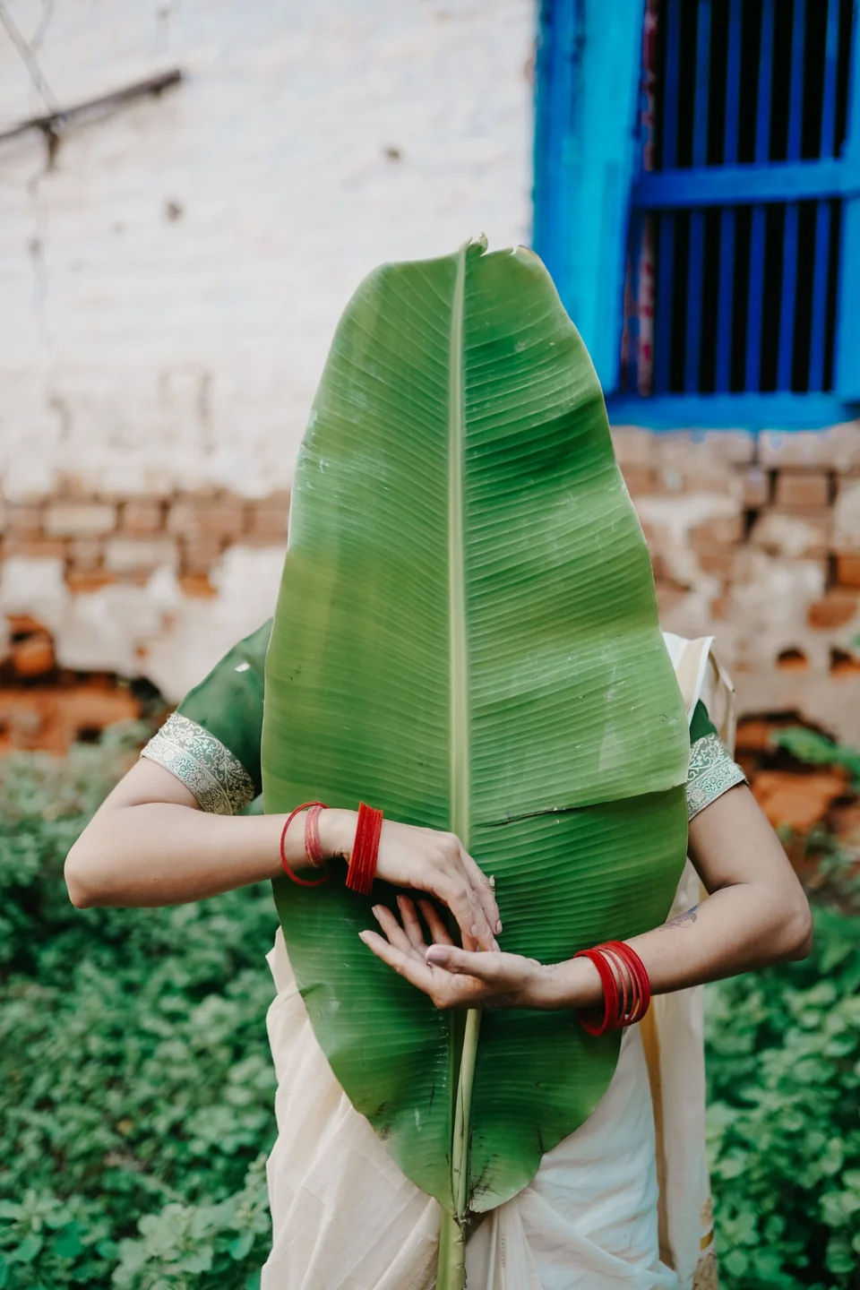 Woman with red bracelets holding a large green banana leaf in front of her face.